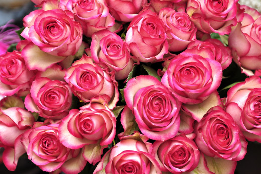 869426 (a): :2400x1600